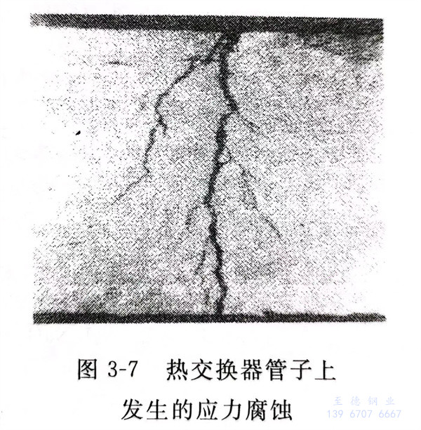 圖 7.jpg 圖 7.jpg