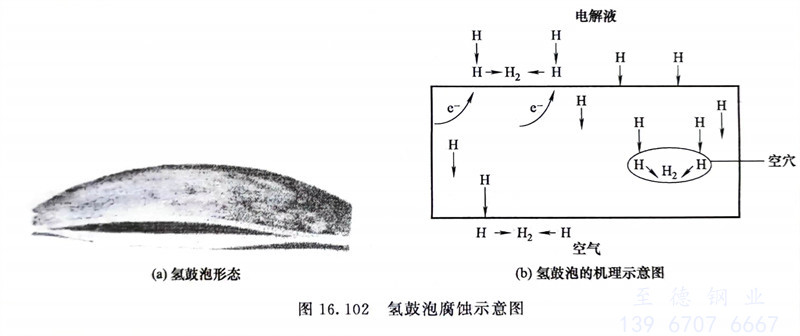 圖 102.jpg